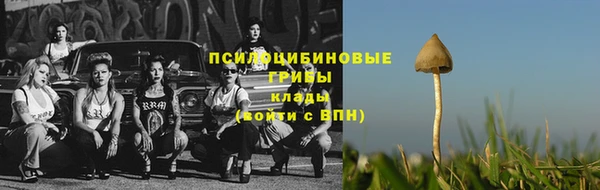 первитин Арсеньев