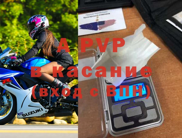 ECSTASY Пересвет