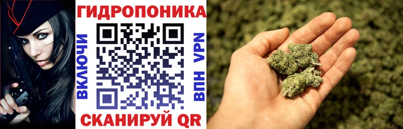 Каннабис VHQ  сайты даркнета какой сайт  Сольвычегодск  MEGA онион 